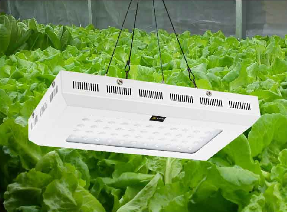 LED PLANT GROW LIGHT