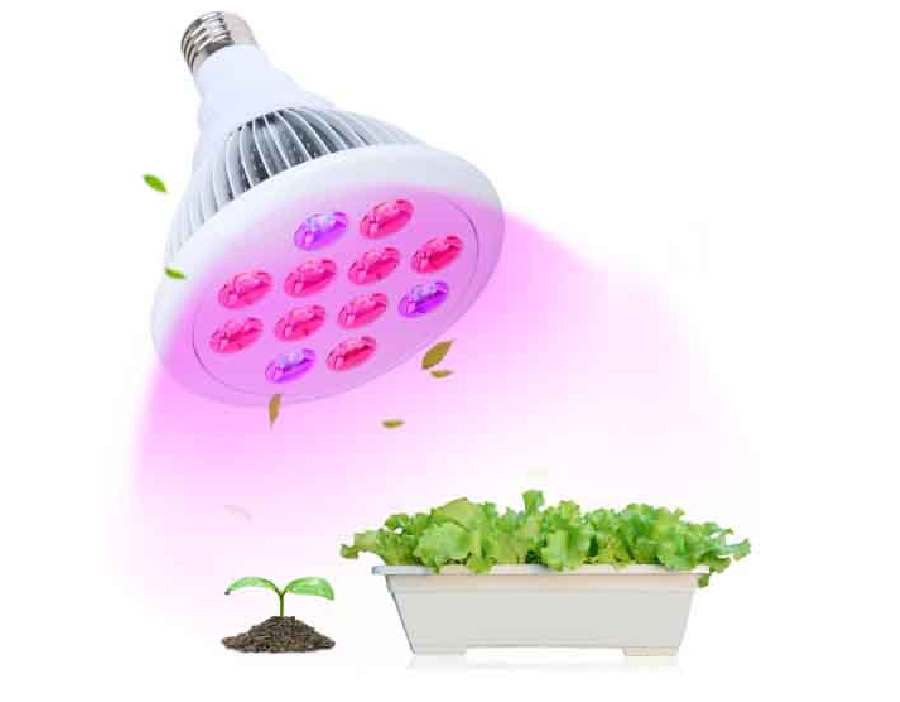 LED PLANT GROW LIGHT